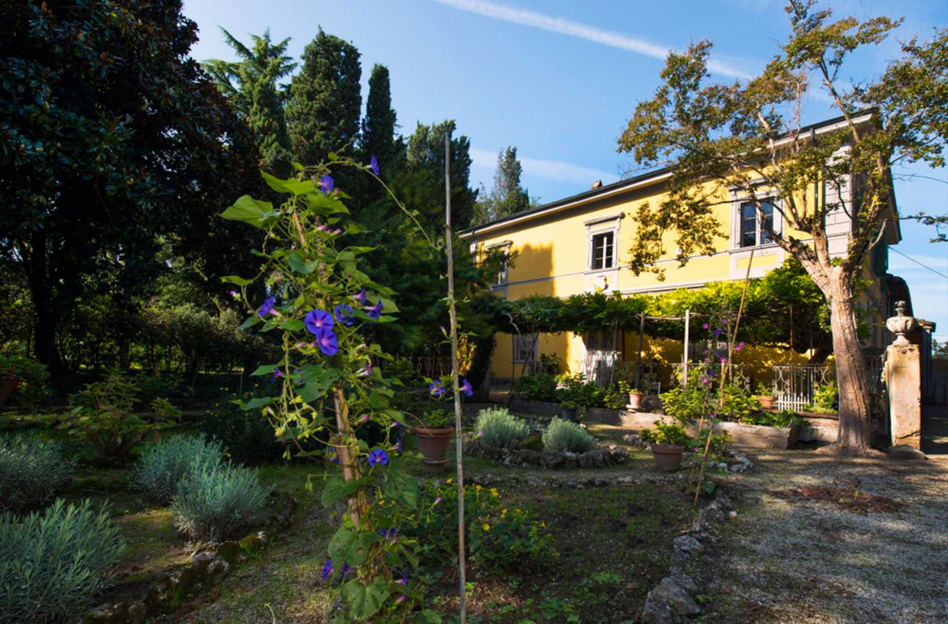 Villa Rook, exterior view